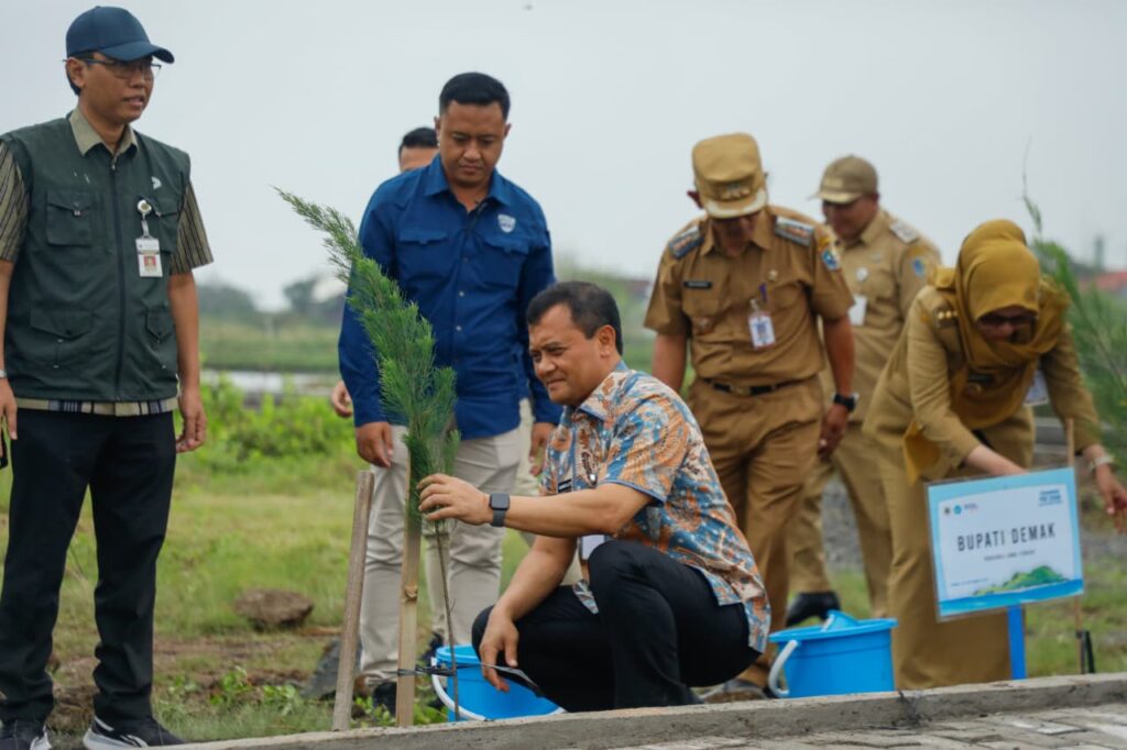 AHMAD LUTHFI TANAM POHON