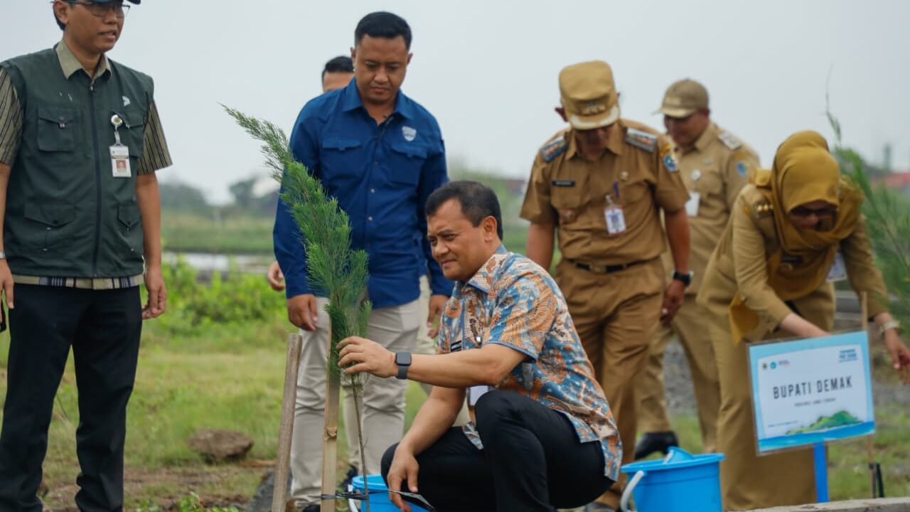 AHMAD LUTHFI TANAM POHON