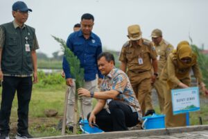 AHMAD LUTHFI TANAM POHON