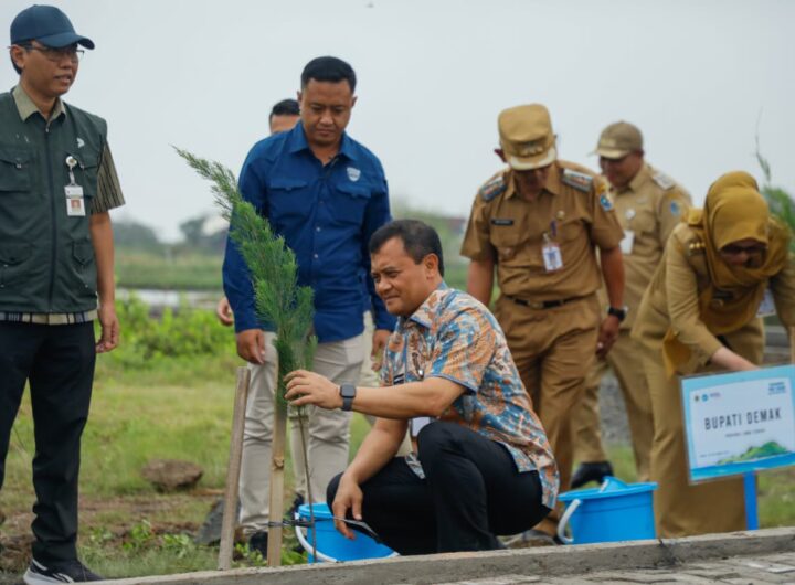 AHMAD LUTHFI TANAM POHON