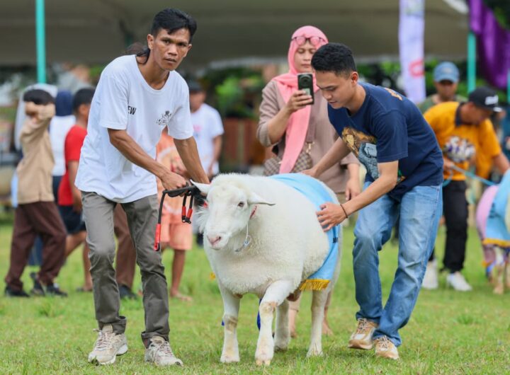 Kontes Ternak 2026